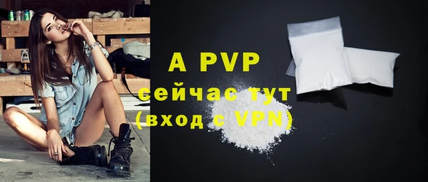 ешки Сосновый Бор