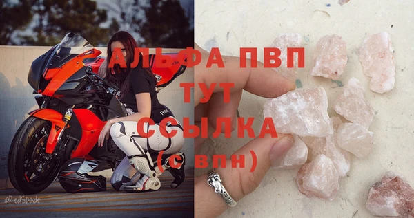 прущие грибы Струнино