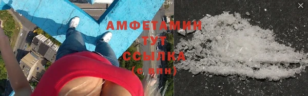 прущие грибы Струнино