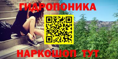 каннабис Волжский