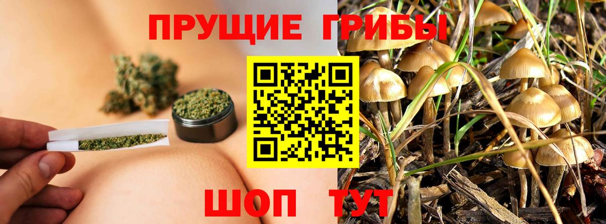 Галлюциногенные грибы Cubensis  Псилоцибиновые грибы мицелий  Вход с VPN  купить   Набережные Челны 